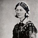 안녕 나이팅게일 이미지