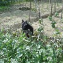 신만농장 이미지