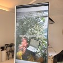 제이앤웰니스(주) | [공지] 클레이앤클레어 오전 촬영 후기 부케 간식 (에스띠아,모아위,엘루스제이)