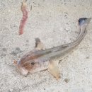 덕진진 티스토리