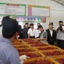 북안동농협 이미지