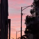 안경나라오천점 | [Melbourne #2] 멜버른 그레이트오션 헬기투어, 12사도 전망대, 조이투어