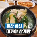 주식회사대가야/주왕산삼계탕 | 울산 삼산동 맛집 대가야 삼계탕