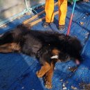 대원1리 마을회관 이미지