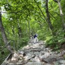 장군봉 등산로 화장실 이미지