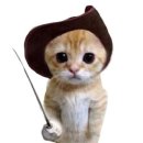 종이접기 NEW 이미지