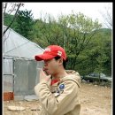 김 형 Daum카페