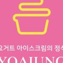 요거트아이스크림의정석수원