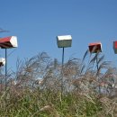 우리유황온천 이미지