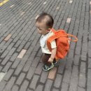 이강산숯불닭갈비 | [한국 일상]6/2(월)~6/8(일)::연어깍뚜기/ 류수영 명란파스타 맛있다/ 이강산숯불닭갈비 완데이 방문