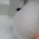 착한세탁 이미지