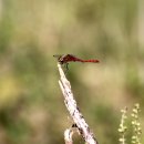 노을공원4 이미지