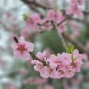 허밍웨이길 이미지