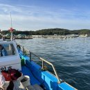 킹콩좌대 이미지