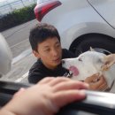 바라기펜션 이미지