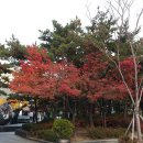 구로리공원 이미지