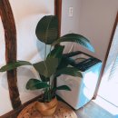 돌담 너머 하늘 이미지