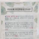 도화플러스치과의원 네이버블로그