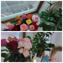 영신농장-1 이미지