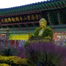 향기있는풍경 이미지