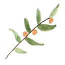 중로(보)1-1-4 이미지