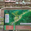 솔향수목원(방문자쉼터) 이미지