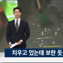 치우고 있는데 담배꽁초 던지는 흡연자 ㄷㄷㄷ 이미지