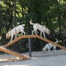 강북동물병원 이미지