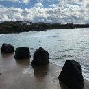 오세분농장 | 제주 애월 귤따기체험 탐나는농장, 맛있는귤 고르는법