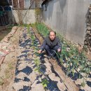 대성이용소 이미지