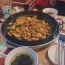 [다욤 일상] 2월 일상 정리