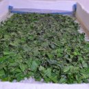 잠업권역야사마을 이미지