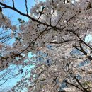 미추홀공원 다례원 이미지