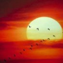 바산목장 이미지