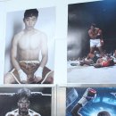 용산권투체육관 이미지