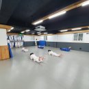 용인대 챔피언 유도관 이미지