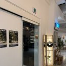 커핑 브레드 이미지