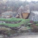 보은농장 이미지