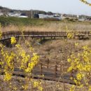 은빛77번길 이미지