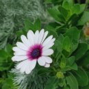 이정균내과의원(구,장명의원) 이미지