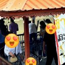 툭툭(TUKTUK) | [아유타야] 왓 야이 차이몽콧: 거대 체디와 거북이 피딩까지, 가족 여행 완벽 코스 후기