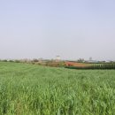 서일여행 이미지