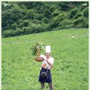 모든이식당 이미지