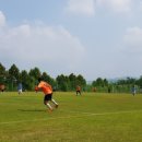 선동잔디구장 천연잔디구장 이미지