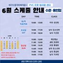 배구레슨PVC프로발리볼센터