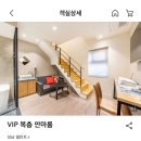 셀린트(CELINT) 이미지