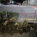 중리서로 이미지