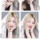 죠스떡볶이제주제원점