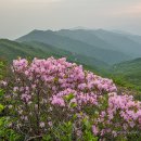연등골 티스토리