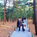 맹방해변 이미지